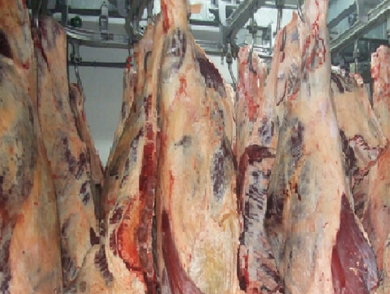 halalviande