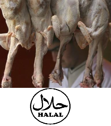 Les bien-fondés des viandes Halal